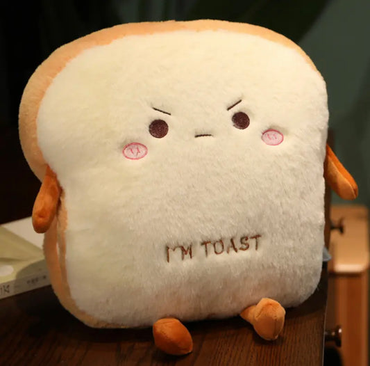 Bipolar Toast Pillow