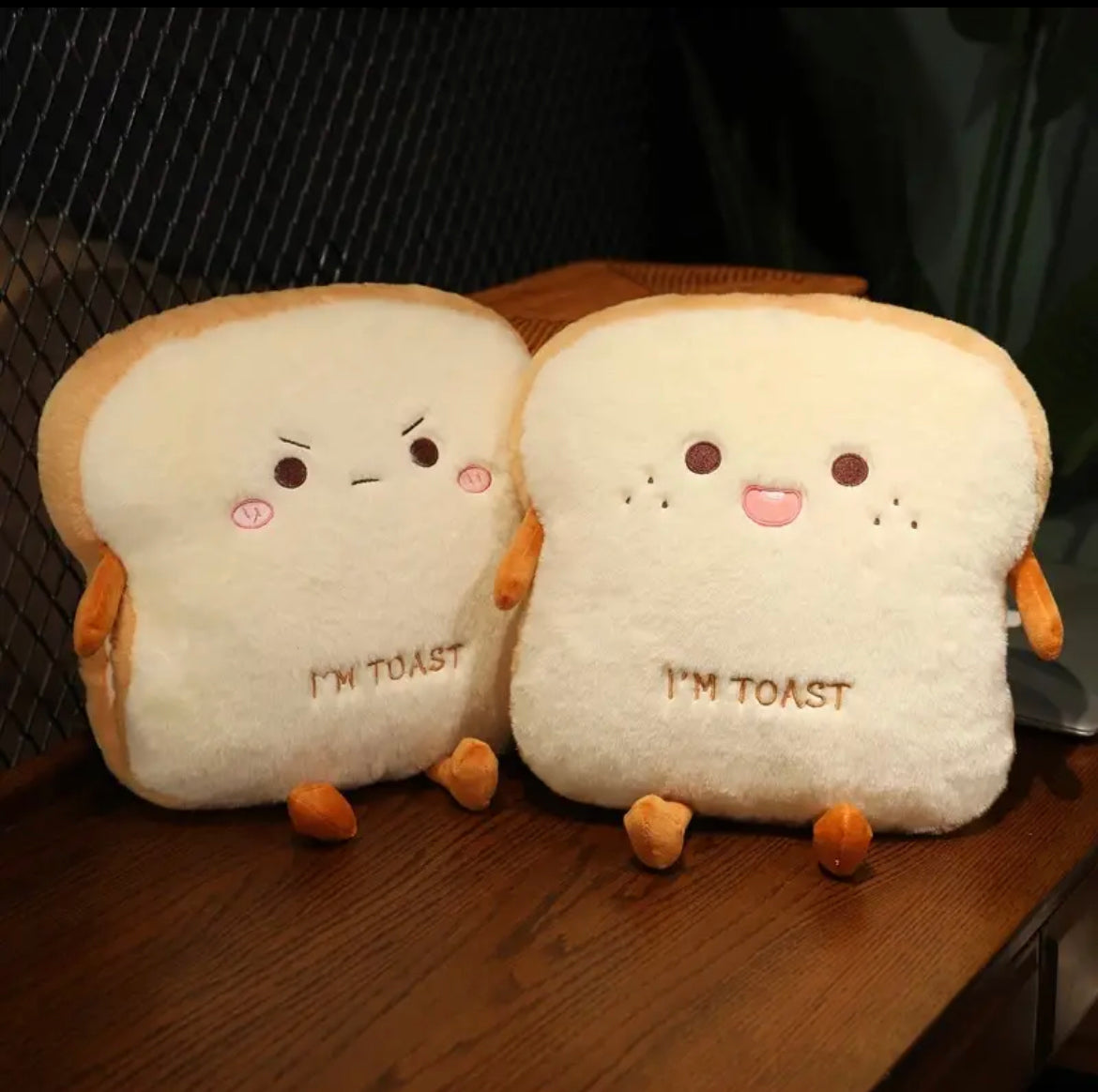 Bipolar Toast Pillow